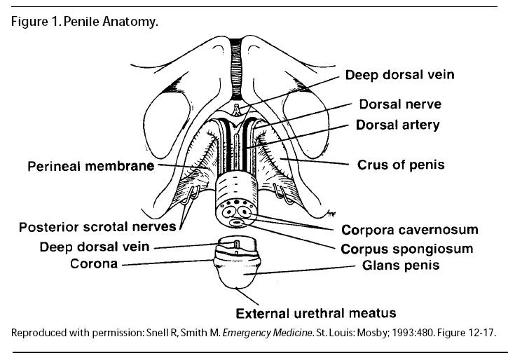 Radiologic Evaluation